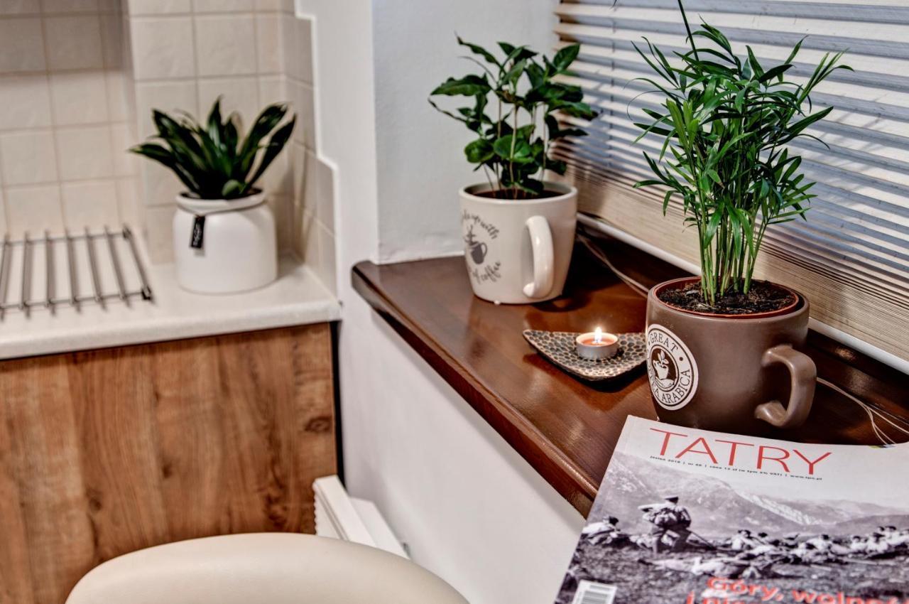 Apartament Pod Nosalem & Spa Sauna,Jacuzzi ザコパネ エクステリア 写真